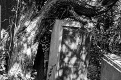 Dieweg-Cimetery-11