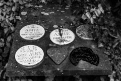 Dieweg-Cimetery-2