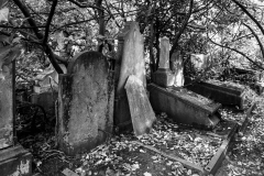 Dieweg-Cimetery-4