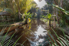 Madagascar-17