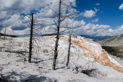 IMG_3440-Pano